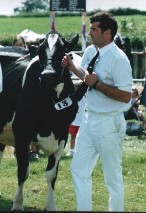 agricow.JPG (33624 bytes)